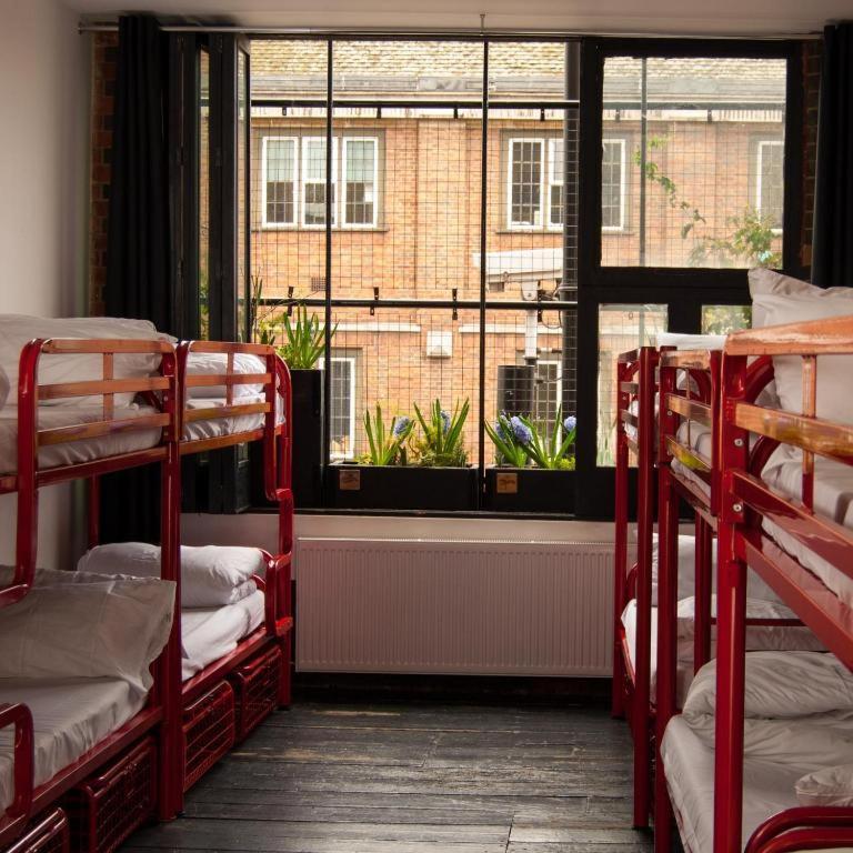 Bed in 12-Bed Mixed Dormitory Room