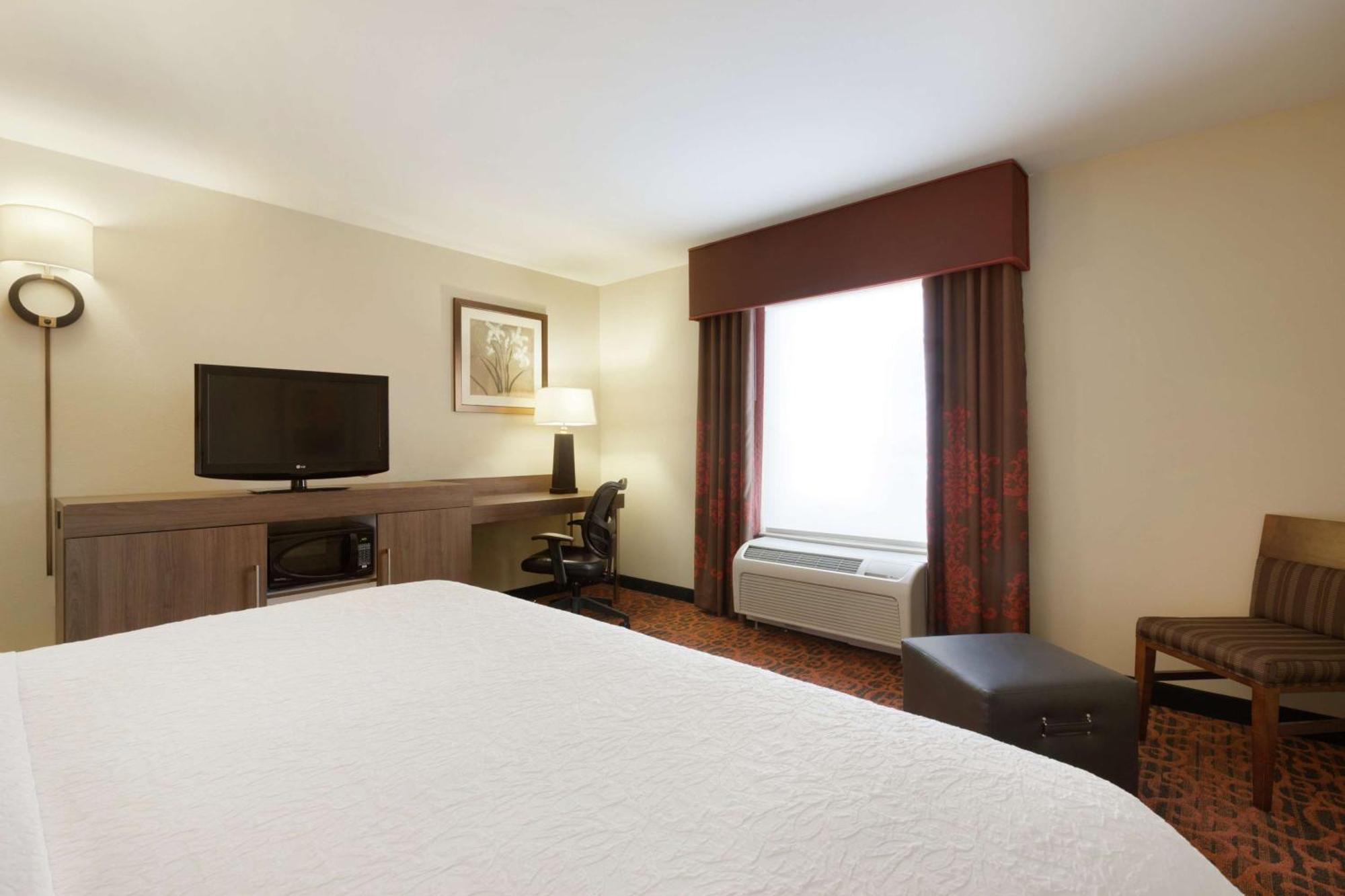 Bed 10-Bed Mixed Dormitory Room
